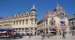 montpellier-plafond-pinel