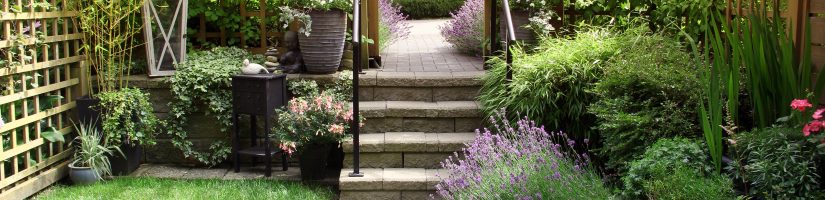 Rentabiliser son jardin
