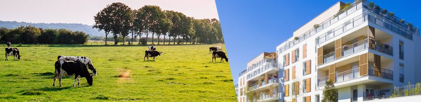 Immobilier résidentiel VS terres agricoles