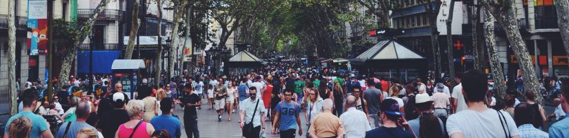 Les français et l'immobilier