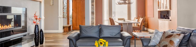 photo de salon home staging
