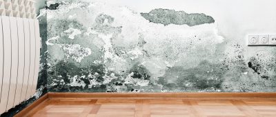 mur humide dans maison insalubre