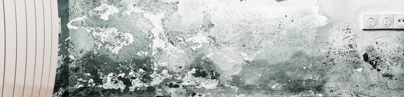 mur humide dans maison insalubre