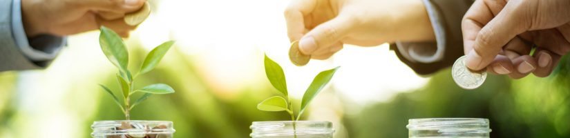 crowdfunding immobilier financement participatif