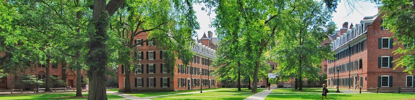 apl baisse étudiants