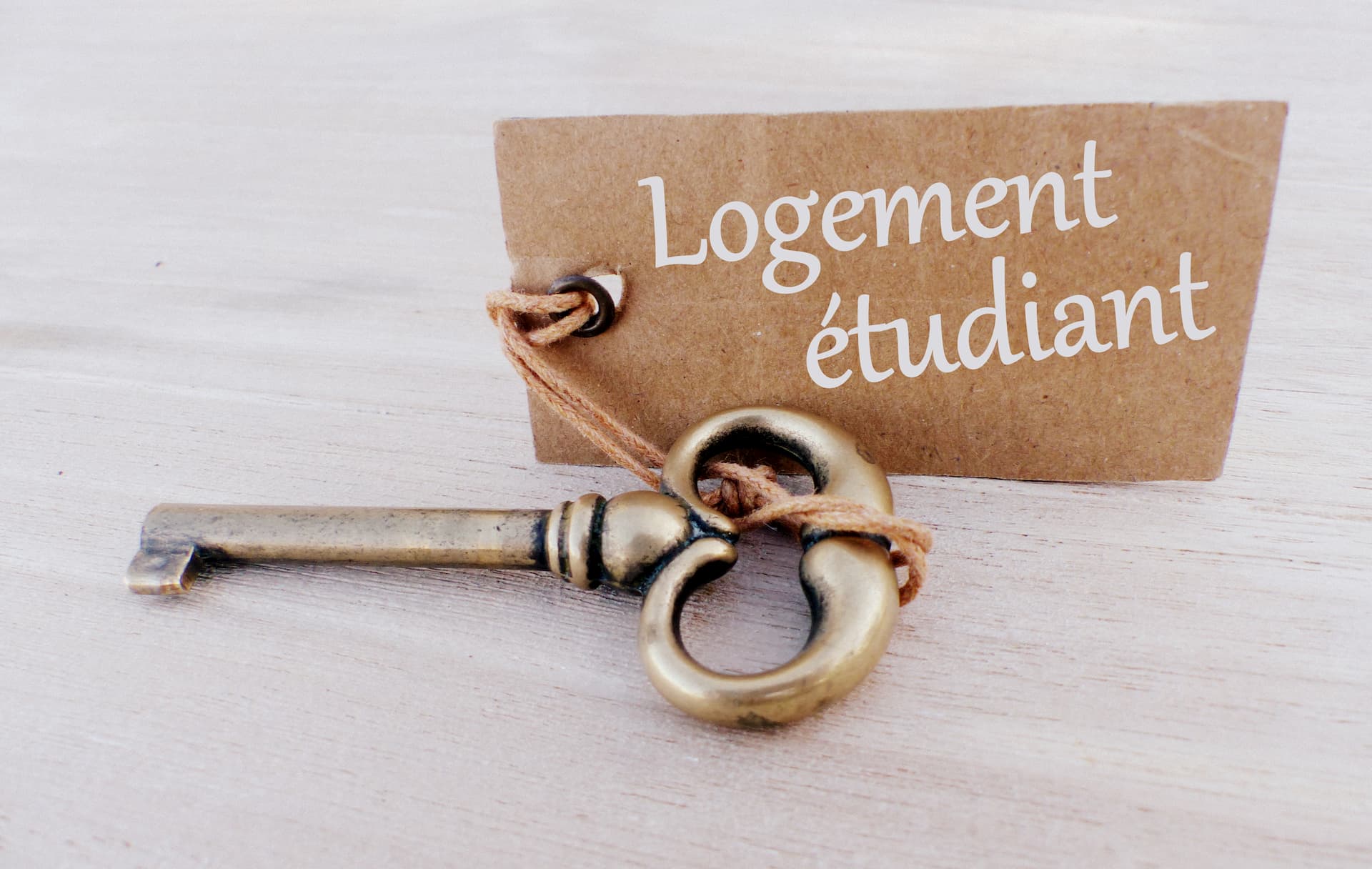 Etudiants quand rentrée rime avec recherche de logement La Loi Pinel — free download